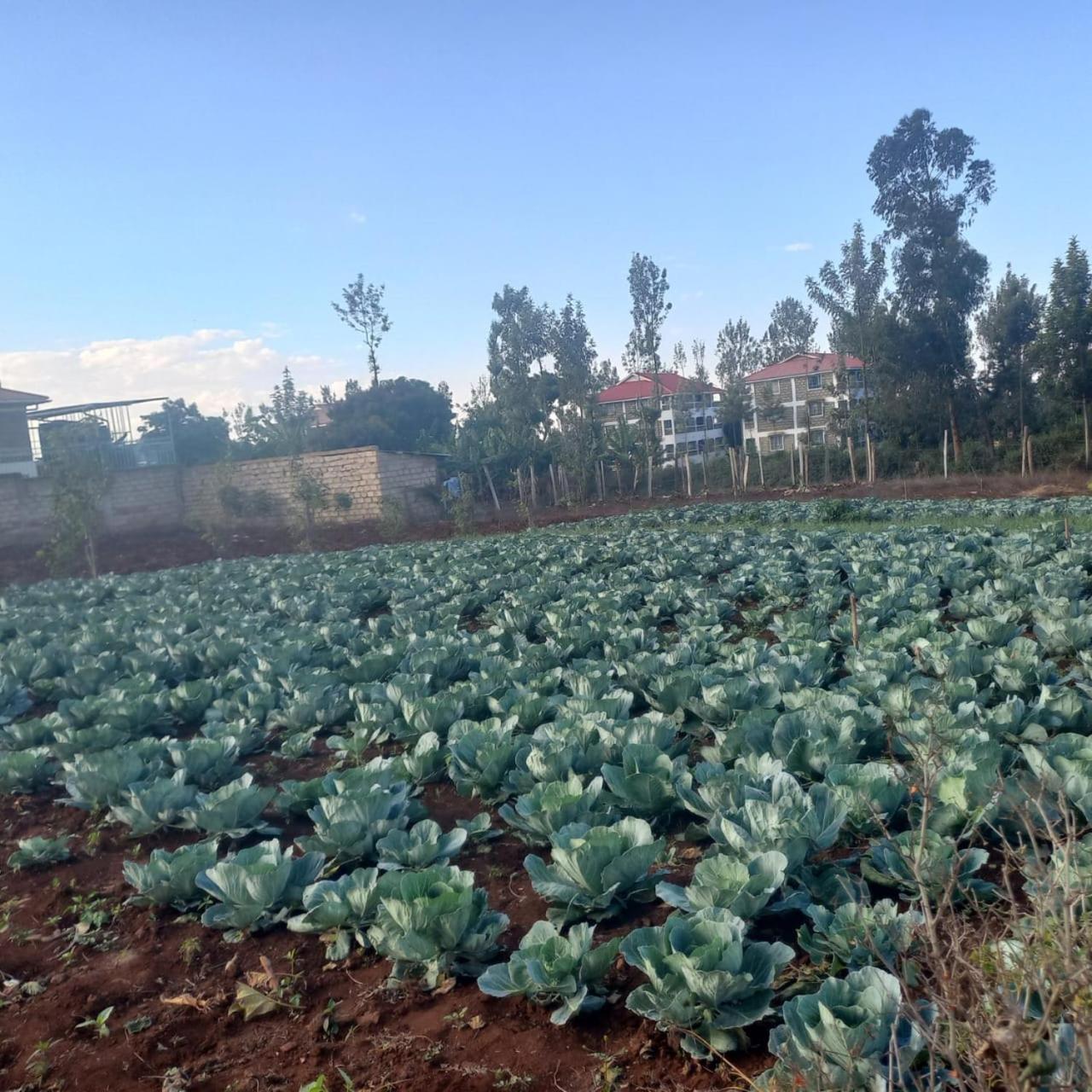 Gatimene Gardens Hotel Meru Εξωτερικό φωτογραφία